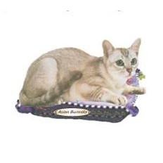 Asian Burmilla Cat Lapel Pin
