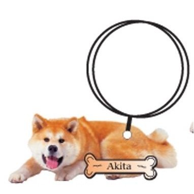 Akita Dog Keychain w/Mirrored Back (8 Square Inch)
