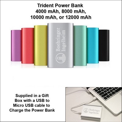 10000 mAh Trident Power Bank