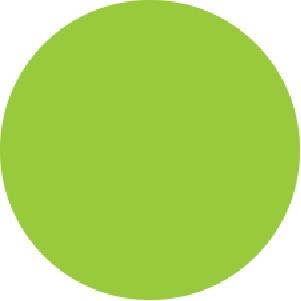 Fluorescent Green Circle Labels - 2" Diameter
