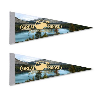 Multi Size Full Color Felt Pennant Flag