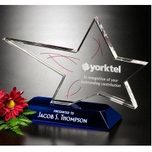 Rock Star 8-1/4"