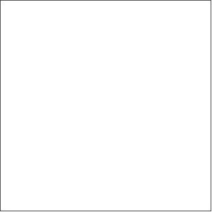 White Square Labels - 2.5" x 2.5"