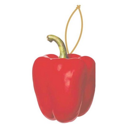 Bell Pepper Executive Ornament w/ Mirrored Back (8 Square Inch)