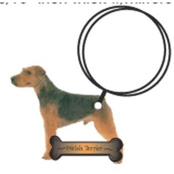 Welsh Terrier Keychain w/Mirrored Back (2 Square Inch)