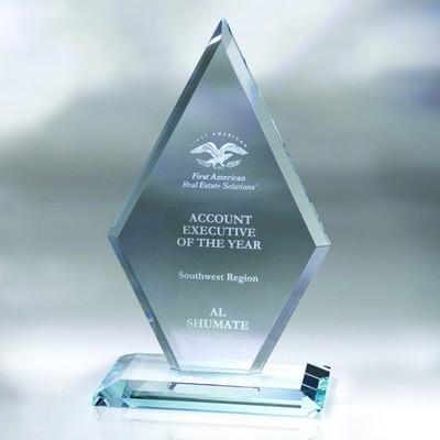 8 1/2" Arrowhead Award