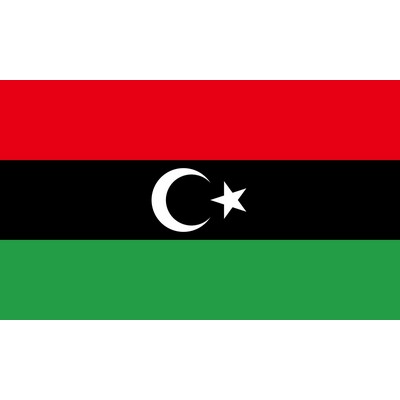 Libyan Arab Jamahiriya National Flag (5'x8')