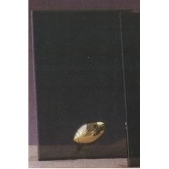 Smoked Glass Plaque Award w/Gold Football Accent & Gold Plastic Mounts (7"x9.5")