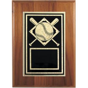Cherry Plaque 6" x 8" - With a Baseball 4" x 6" Activity Plate