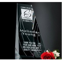 Wedgewood Award 6"