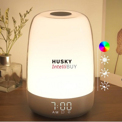 Touch Wake Up Night Light with Sunrise Simulation Alarm Clock, 3 Ways Dimmable Bedside Lamp