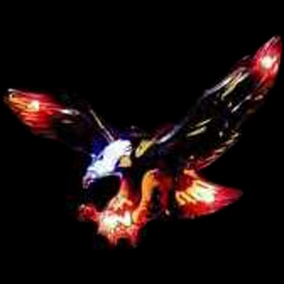 Flying Eagle Flash Lapel Pin