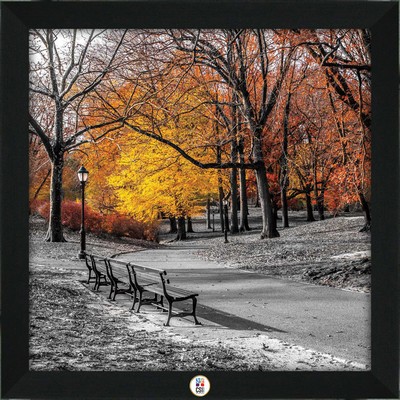 Park Pretty