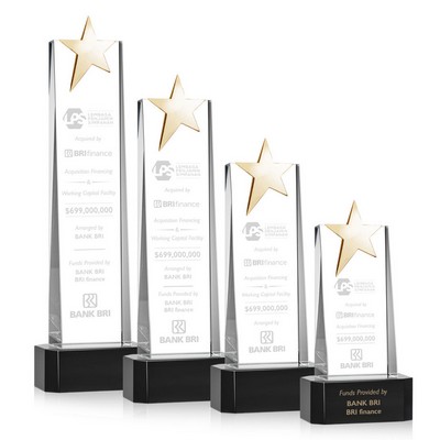Fanshaw Gold Star Award on Base - Black