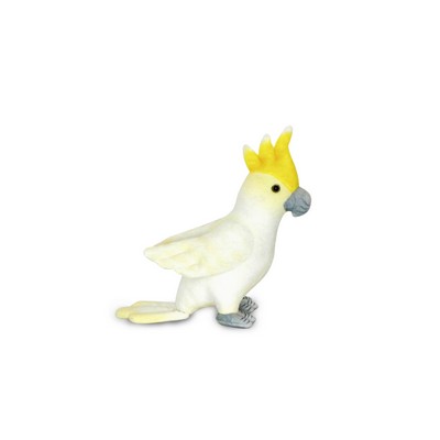 Parakeet