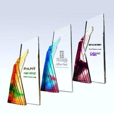 Momentum Award