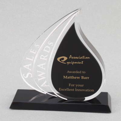Shadow 1 Award (8"x 7-3/4"x 2")