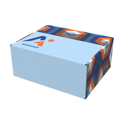 10x8 Full Color Mailer Box