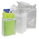 Clear Frost Bag w/Rope Handle (16"x6"x12")