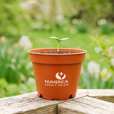 Terra Cotta Wee Planter Kit