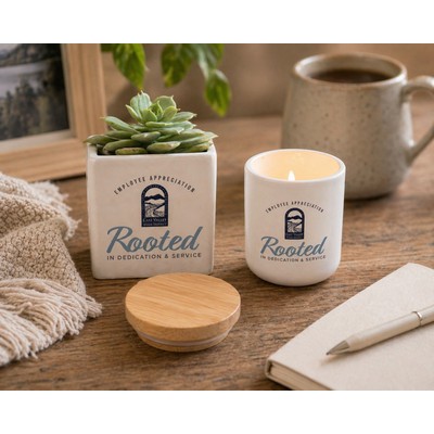 Live Succulent Plant And Candle Desktop Gift Set