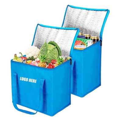 Ice Cooler Bag