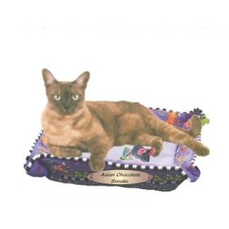 Asian Chocolate Smoke Cat Promotional Magnet w/ Strip Magnet (6 Square Inch)
