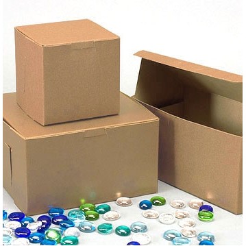 Ohio Valley Kraft Cupcake Box (12"x9"x4")