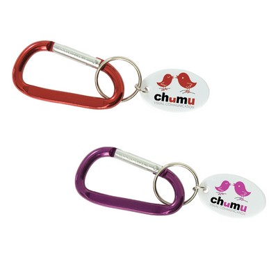 Small Carabiner Keytag