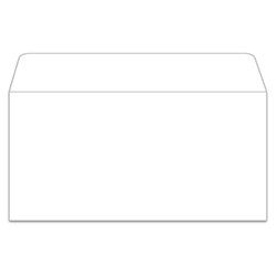 Plain White Moist & Seal License Plate Envelopes