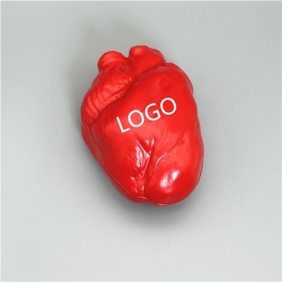 Anatomical Heart Stress Ball