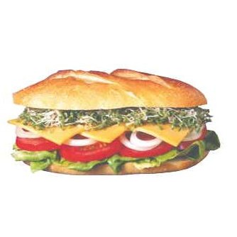 Sub Sandwich Executive Magnet w/ Full Magnetic Back (8 Square Inch)
