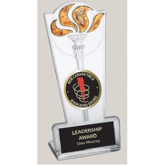 8" Clear/Gold Lucite Star Torch Award w/DCP or Flexibrass