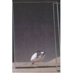 Clear Glass Plaque Award w/Silver Football Accent & Silver Plastic Mounts (6"x8.5")