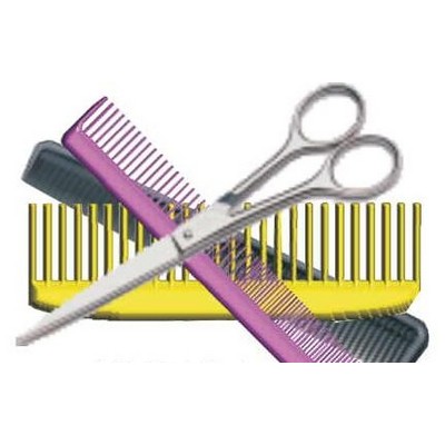 Beautician Combo Maxi Magnet (8 Square Inch)