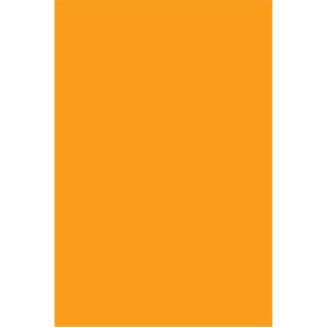 Fluorescent Orange Rectangle Labels - 3" x 10"