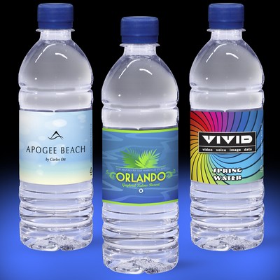 16.9 Oz. Custom Label Spring Water w/Blue Flat Cap - Clear Bottle