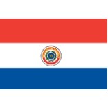 4'x6' Paraguay U.N. Nylon Outdoor Flag - Style C