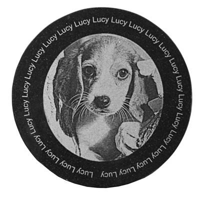 6" Granite Round Tile