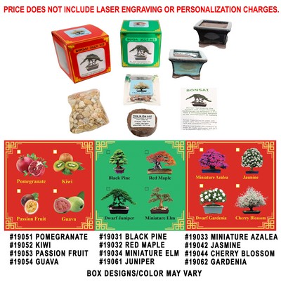 Dogwood Bonsai Seed Kit