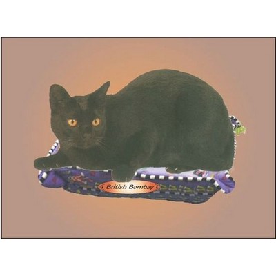 British Bombay Cat Rectangle Badge w/ Bar Pin (2"x3")