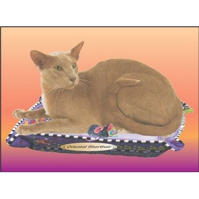 Oriental Shorthair Cat Rectangle Badge w/ Bar Pin (2 1/2"x3 1/2")