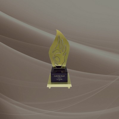Soaring Eagle Award