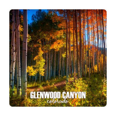 CW Standard Cut Square Magnet (3" x 3")