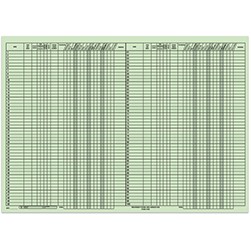 Big Green Route Sheet- 1 pad per pack