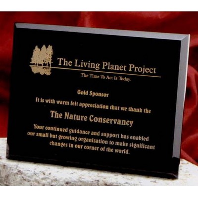 Laser Engraved Onyx Plaque (8"x10")