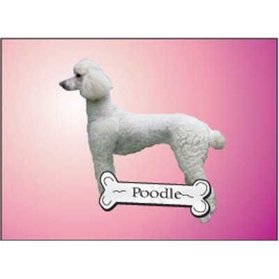 Poodle Dog Metal Photo Magnet (2 1/2"x3 1/2")