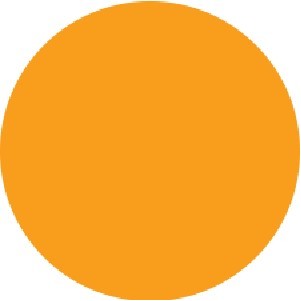 Fluorescent Orange Circle Labels - 3/4" Diameter