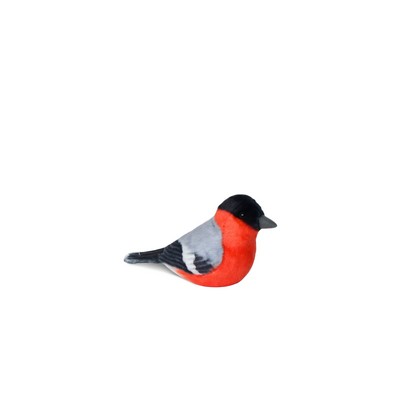 Red and Black Parus
