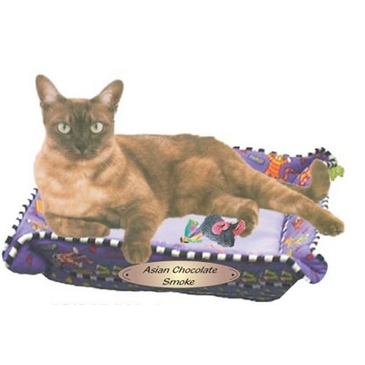 Asian Chocolate Smoke Cat Maxi Magnet (2 Square Inch)